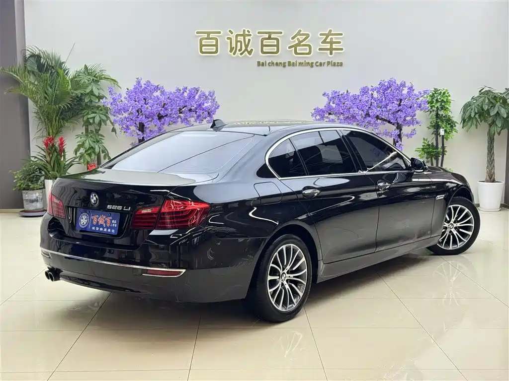 BMW 5 Series 2014 525Li Luxury Design Package фото 6