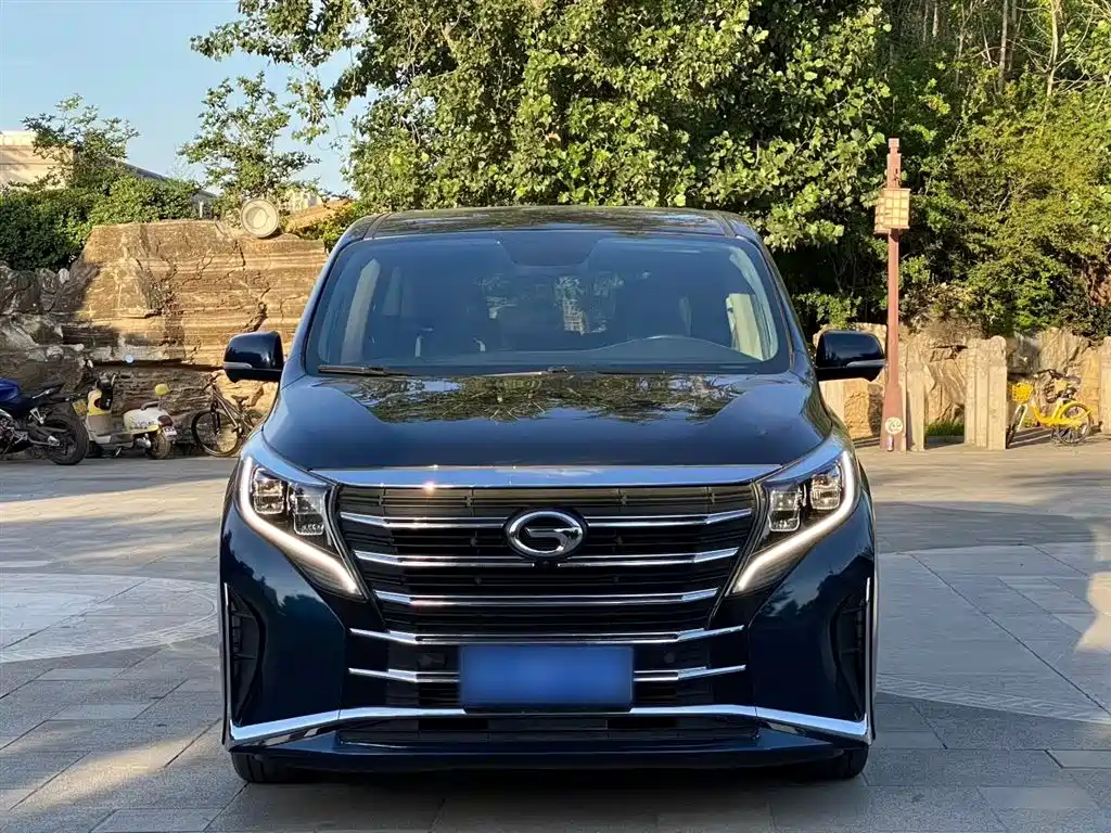 GAC Trumpchi Trumpchi M8 2021 Leading Show Series 390T Ultimate Edition фото 9