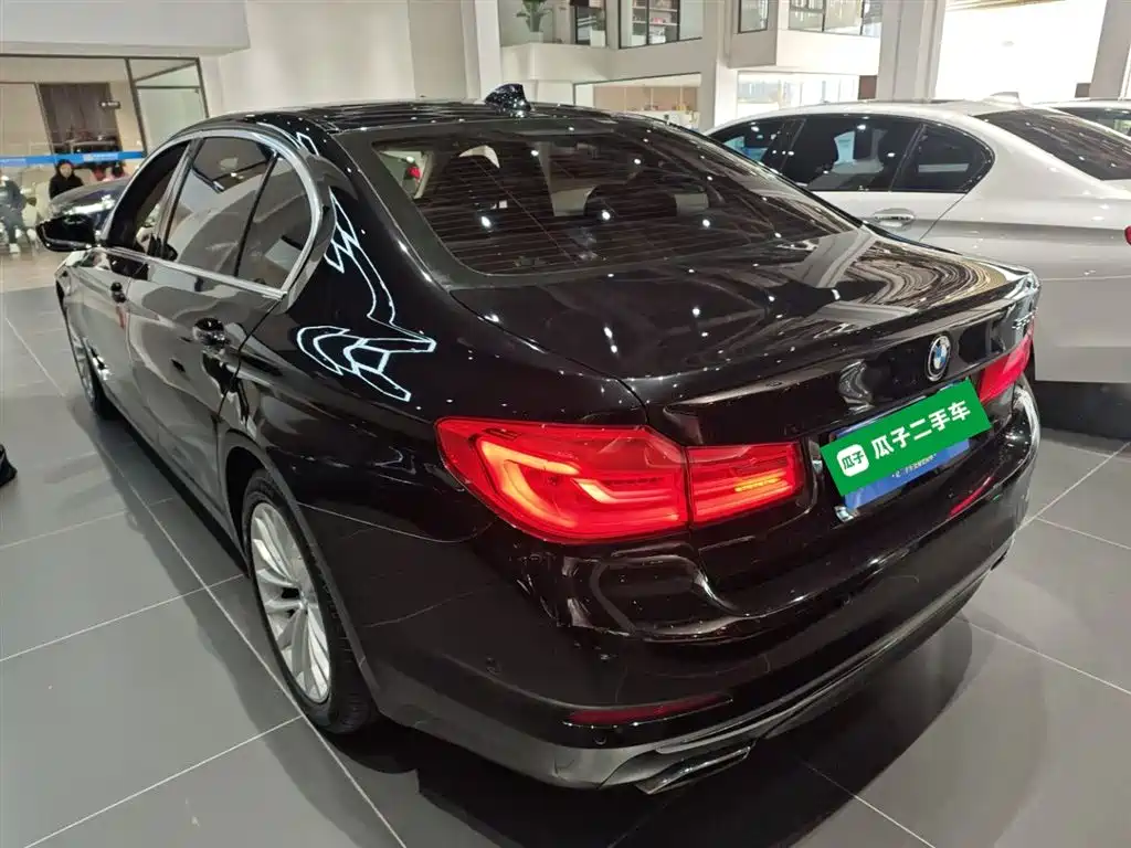BMW 5 Series 2020 530Li Premium Luxury Package фото 5