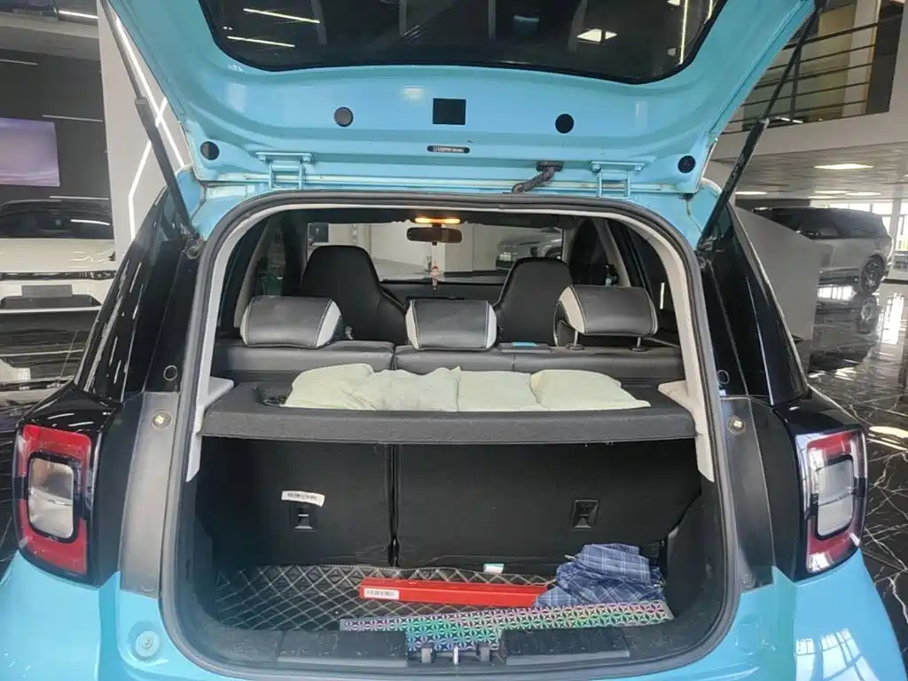 Sehol Flower Fairy 2022 2021 Jimei Edition 302km Luxury