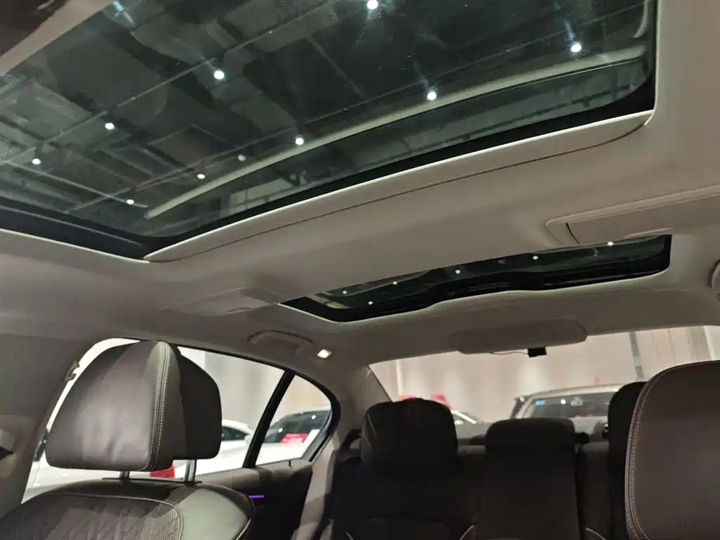BMW 5 Series 2020 530Li Premium Luxury Package фото 18