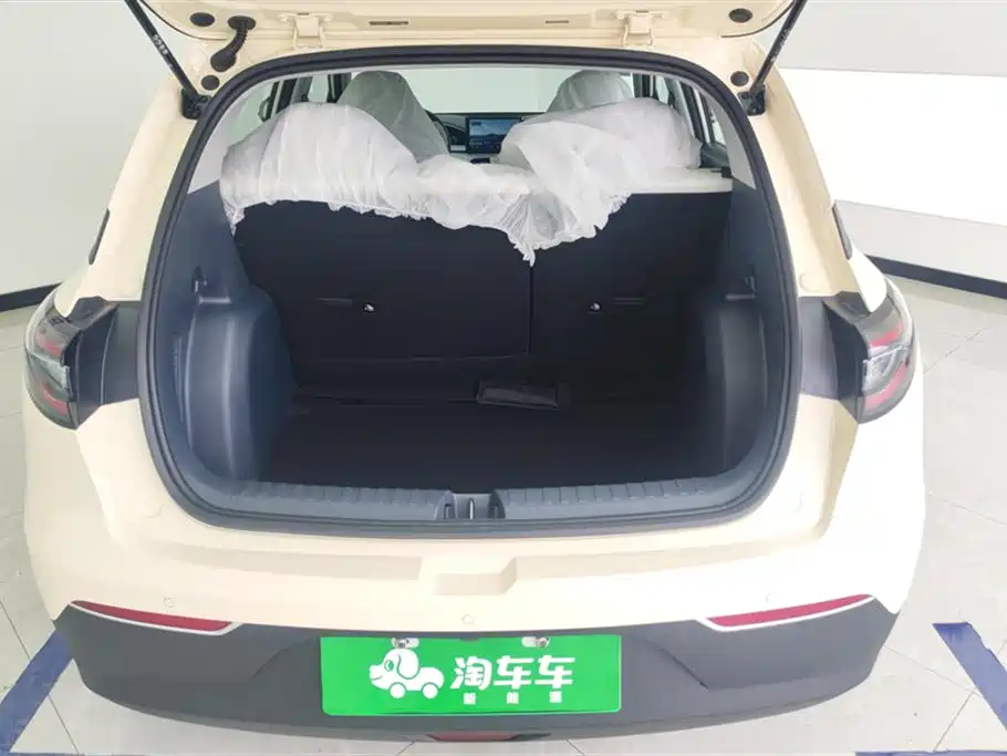 Geely Galaxy Starry Wish 2026 Model 310km Dream Edition фото 4