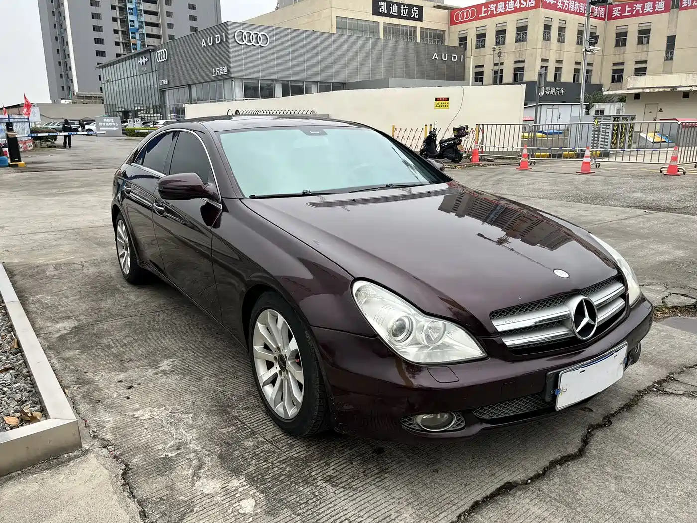 Mercedes-Benz CLS 2009 CLS 300 фото 3