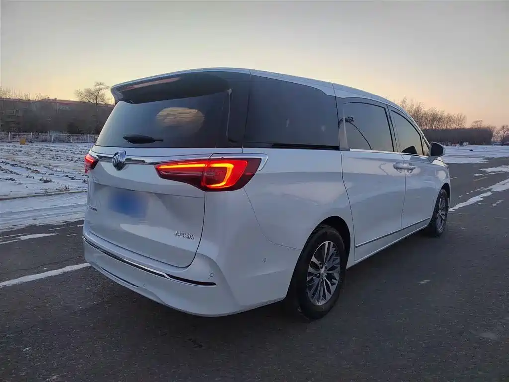 Buick GL8 2021 ES Landlord 653T Premium фото 8
