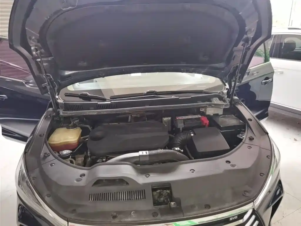 BYD Song MAX 2019 1.5T Auto Smart Connected Sunroof 6-seater China VI фото 20