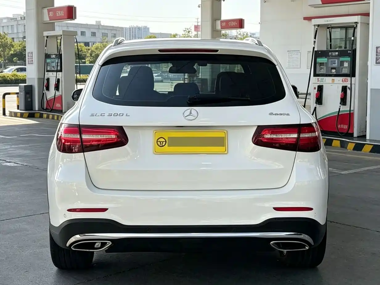 Mercedes-Benz GLC 2019 GLC 300 L 4MATIC Dynamic фото 9
