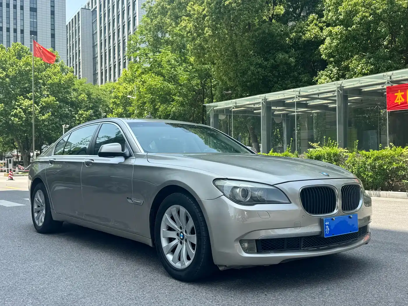 BMW 7 Series 2009 730Li Luxury фото 8