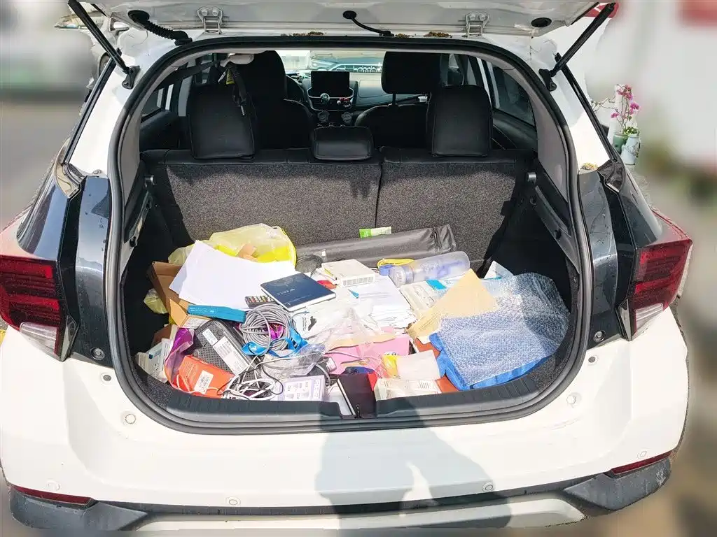 Toyota YARiS L Zhi Xuan 2020 Zhi Xuan X 1.5L CVT Leading фото 10
