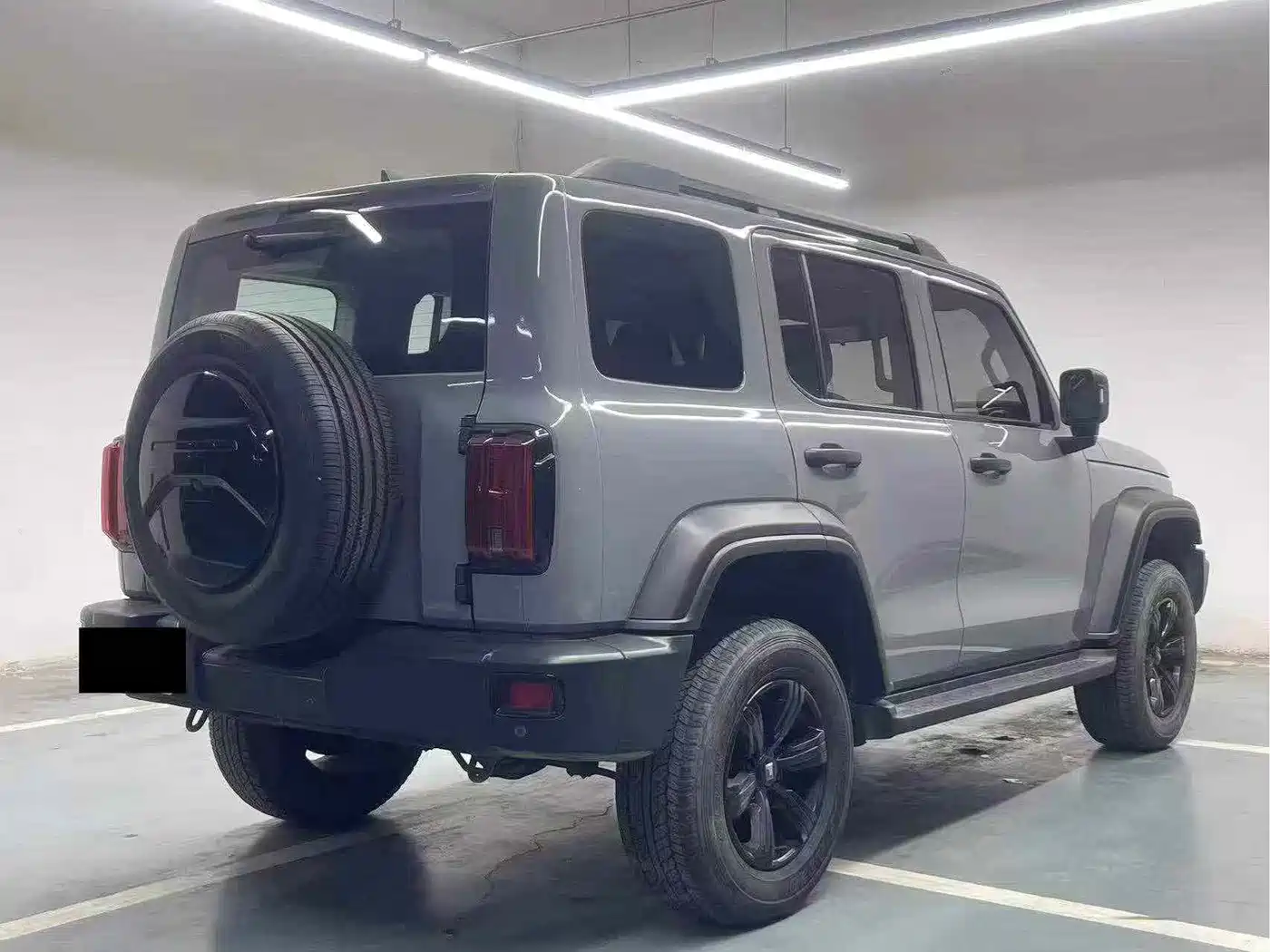 Tank 300 2025 2024 Model 2.0T Challenger