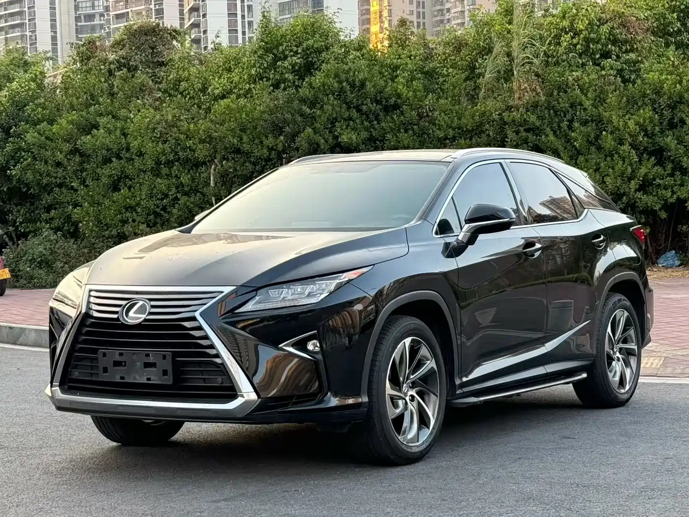 Lexus RX 2016 300 4WD Elegance Edition (China V)