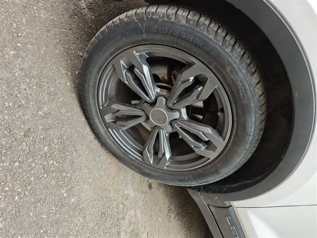 Leopaard CS9 2019 2017 1.5L Manual Trend