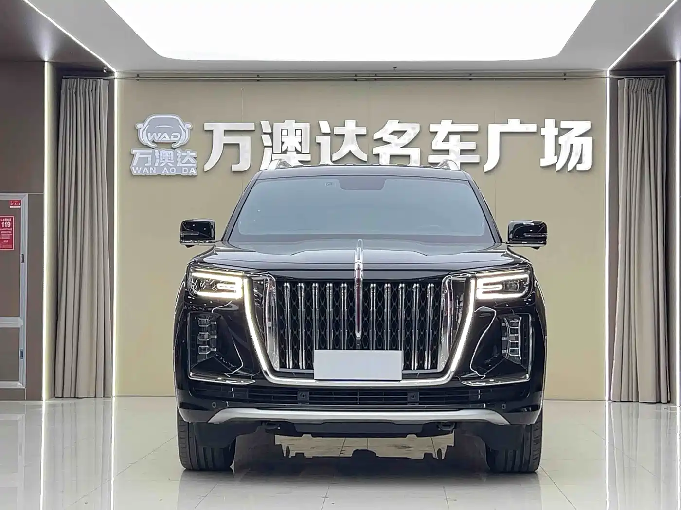 Hongqi HONGQI GUOYAO