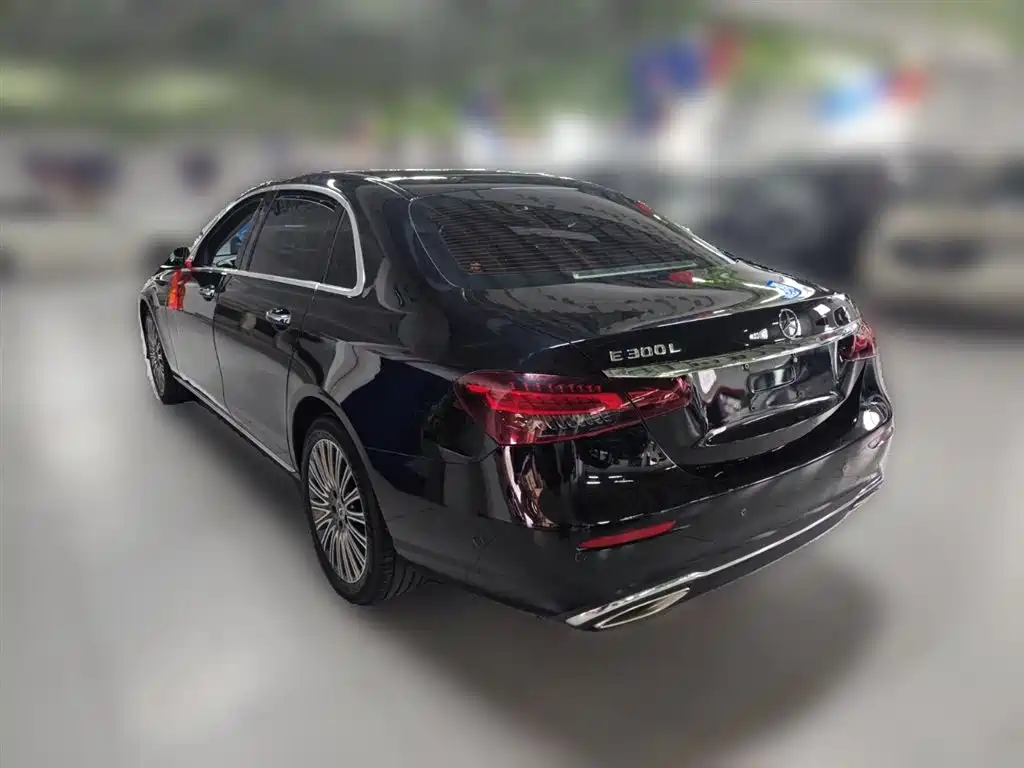 Mercedes-Benz E-Class 2023 Facelift E 300 L Luxury фото 9