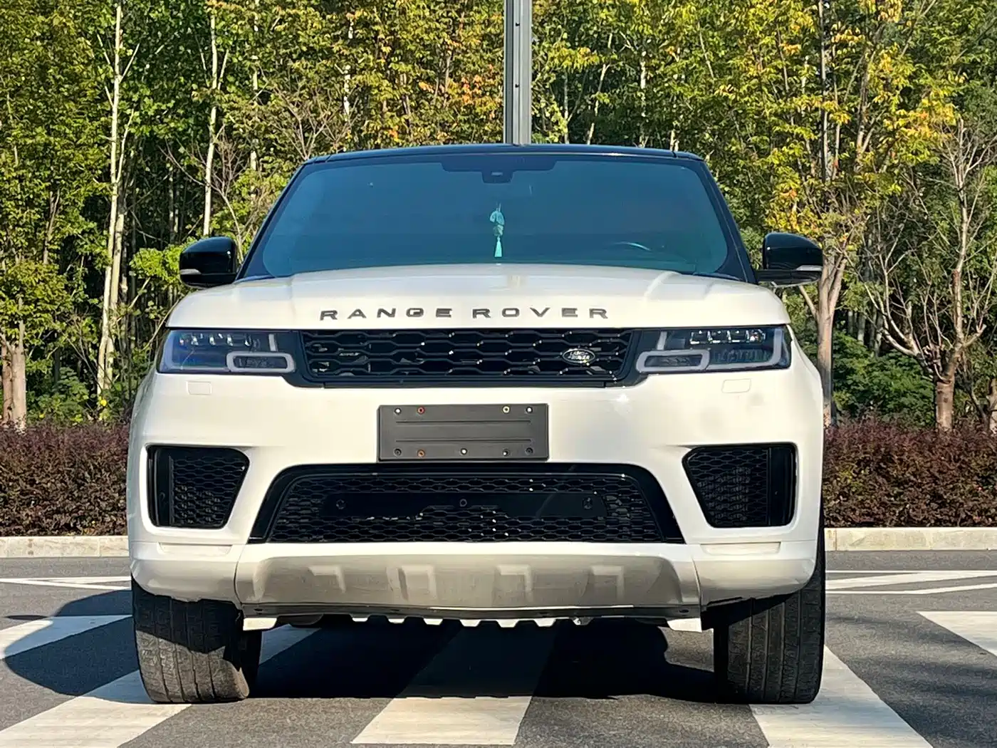 Land Rover Range Rover Sport 2014 3.0 SC V6 HSE DYNAMIC фото 2