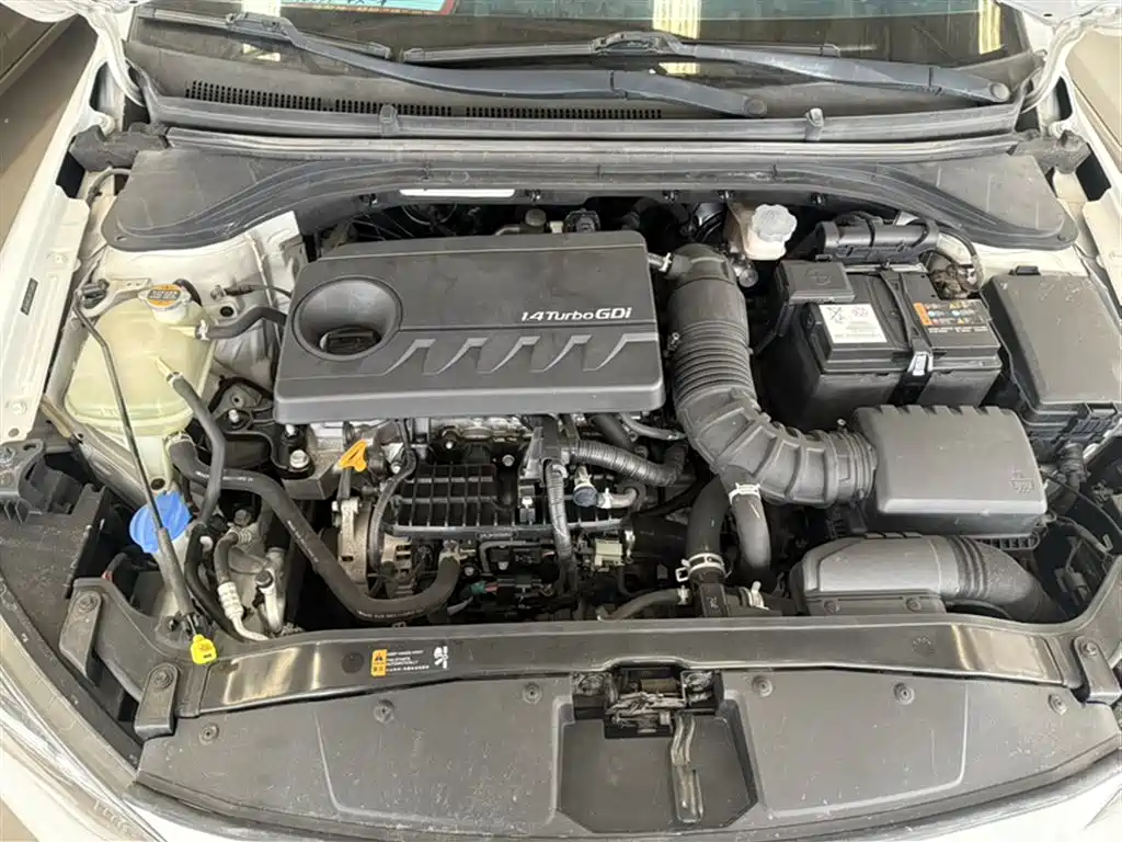 Hyundai Elantra 2019 1.4T Dual-clutch XuanDong·Vitality Type фото 11