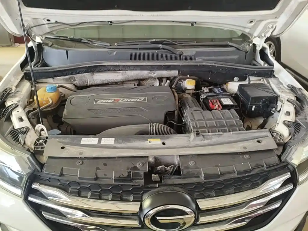 صورة 20 - GAC Trumpchi GS4