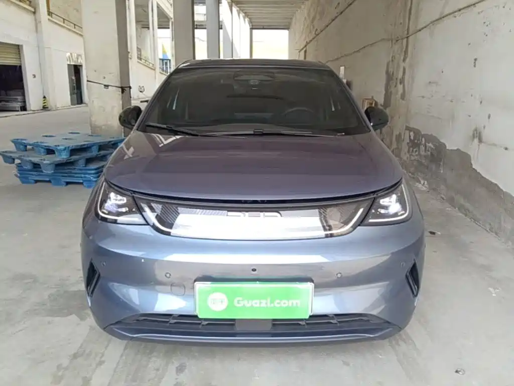 Фото 3 - BYD Dolphin