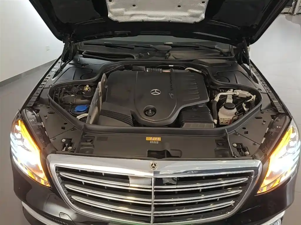 Mercedes-Benz S-Class 2020 S 350 L Premium Edition Collector's Version фото 20