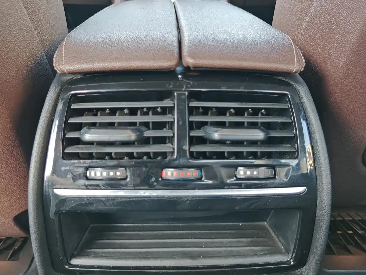 BMW 5 Series 2021 530Li Leading Luxury Package фото 17