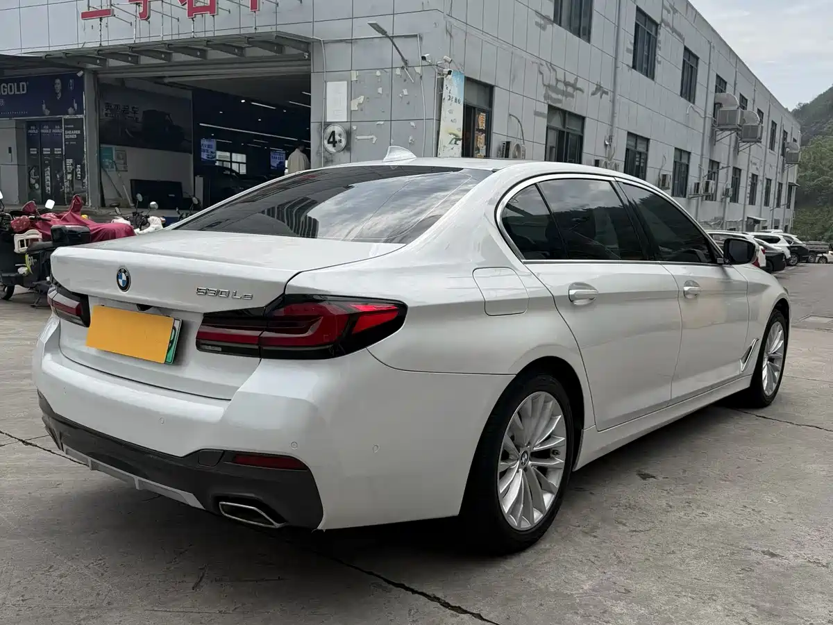 BMW 5 SERIES NEW ENERGY