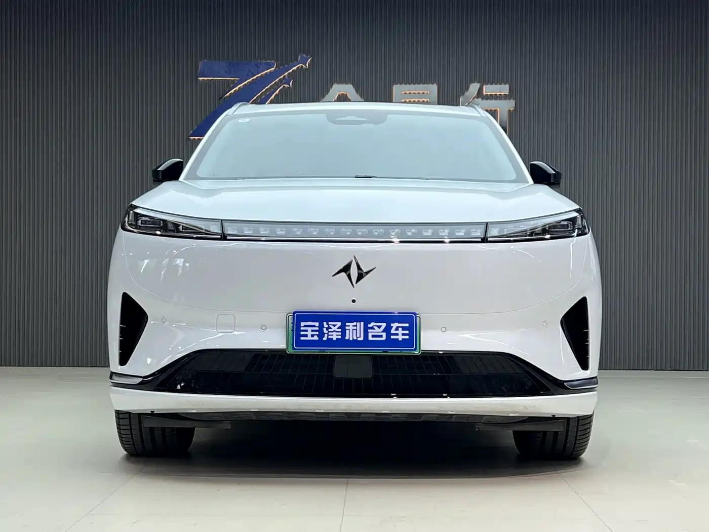 2025 Dongfeng Yipai eπ008
