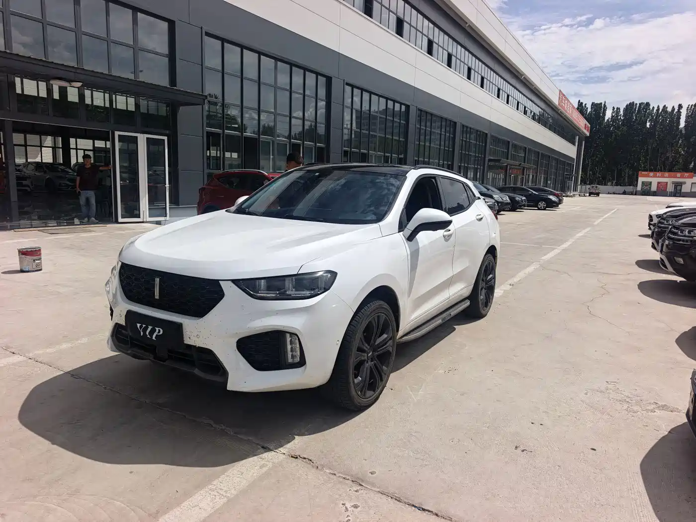 WEY VV5 2017 2017 2.0T Flagship Model