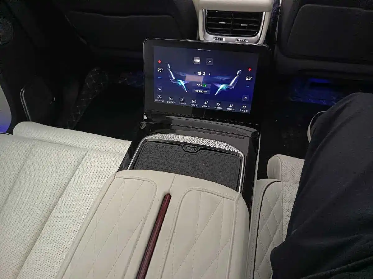 Hongqi E-HS9 2022 660km Qi Ling Edition (4-seater) фото 38
