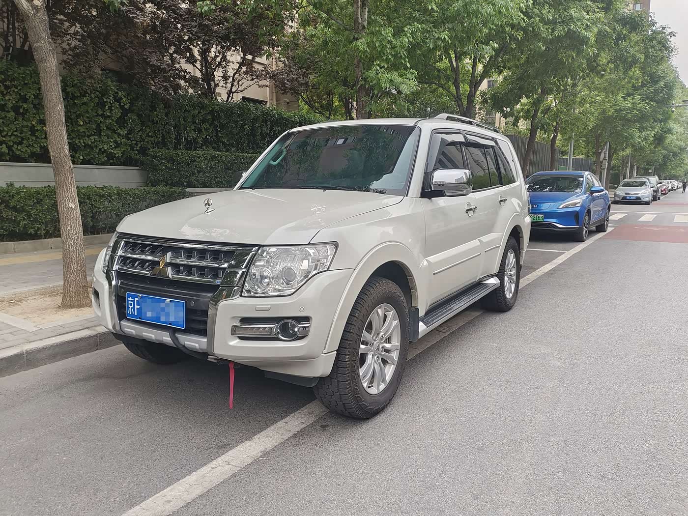 Mitsubishi Pajero (Import)