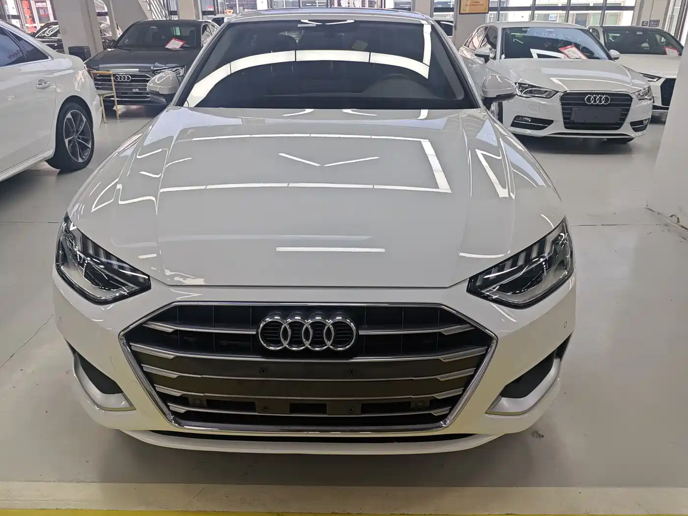 Audi A4L 2021 40 TFSI Premium Life Edition