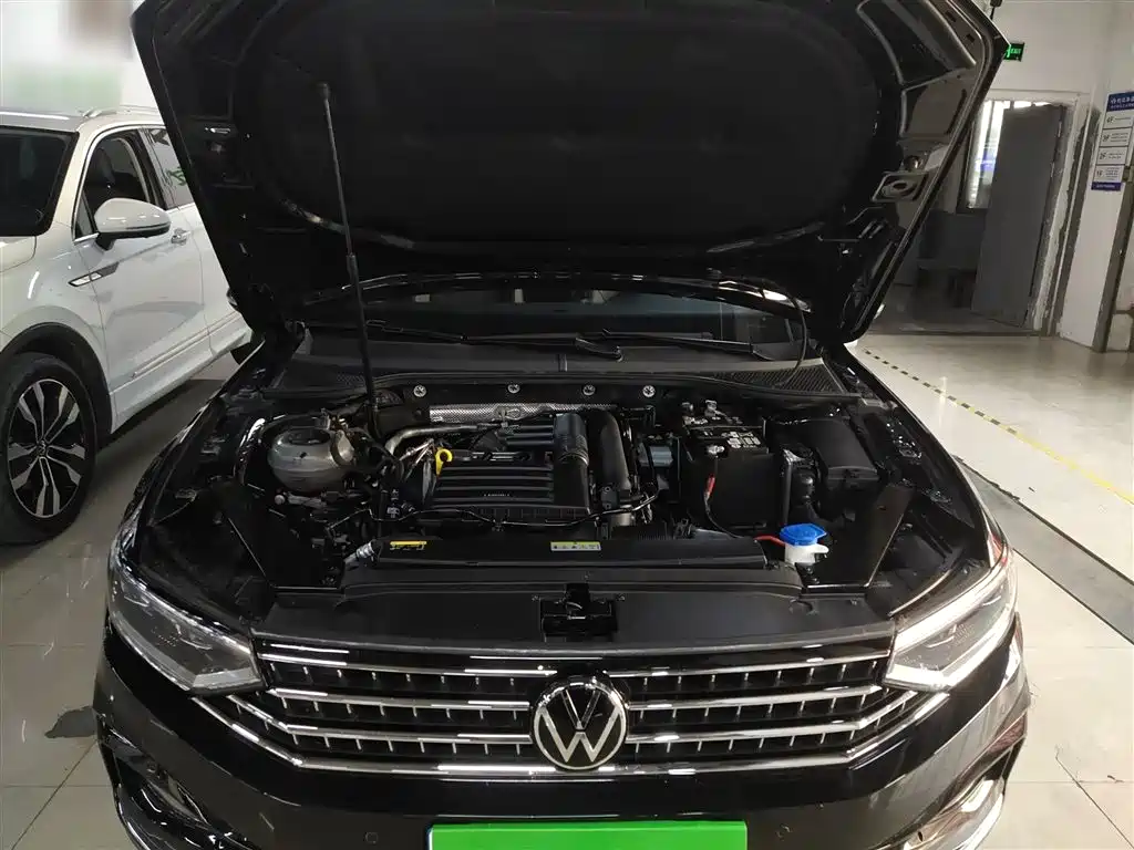 Volkswagen Magotan 2025 Popular Edition 280TSI DSG Comfort фото 10
