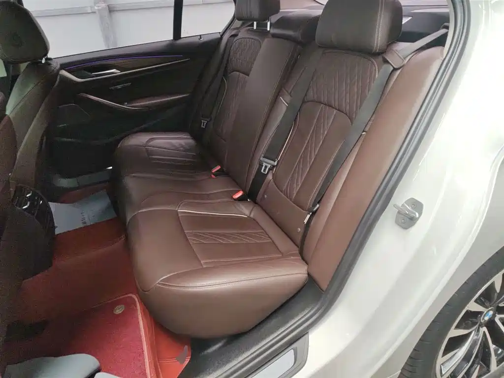 BMW 5 Series 2019 Facelift 530Li Leading Luxury Package фото 17