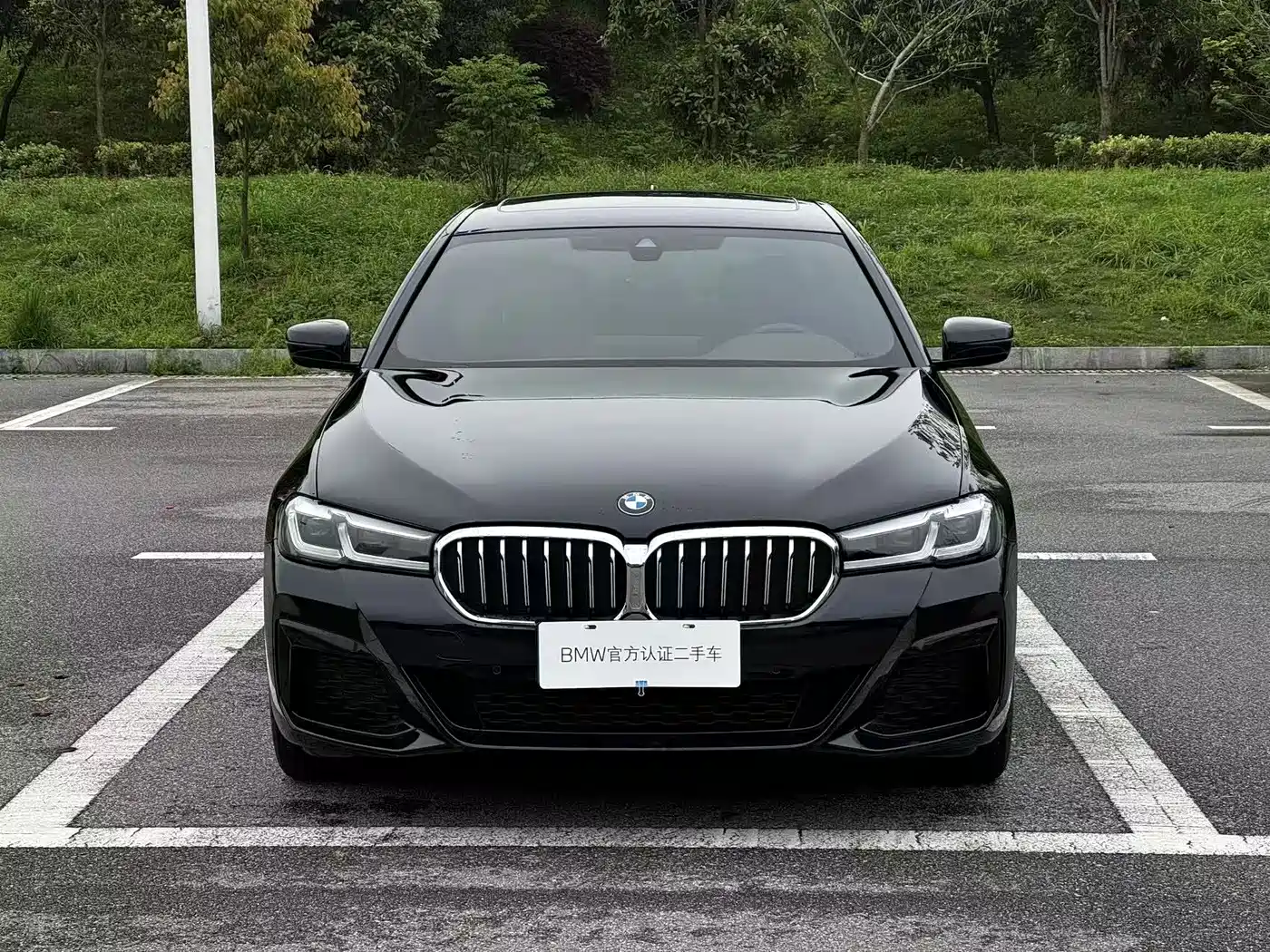 BMW 5 SERIES