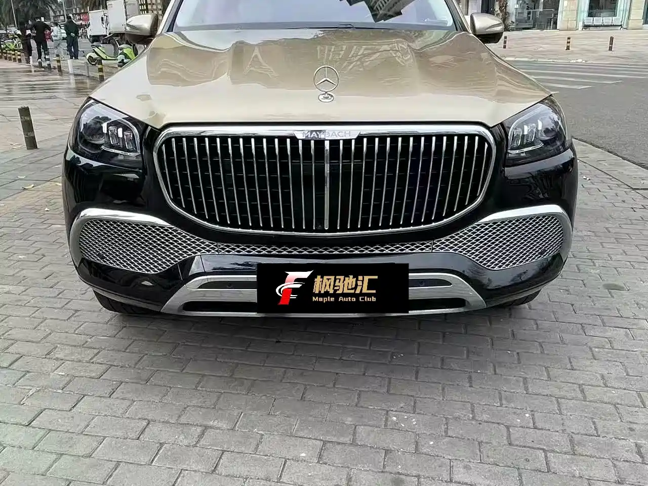 Mercedes-Benz Maybach GLS 2022 GLS 600 4MATIC Etiquette Edition фото 2