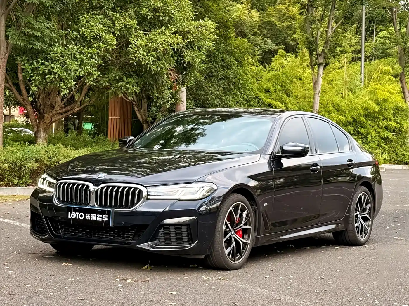 BMW 5 Series (Import)