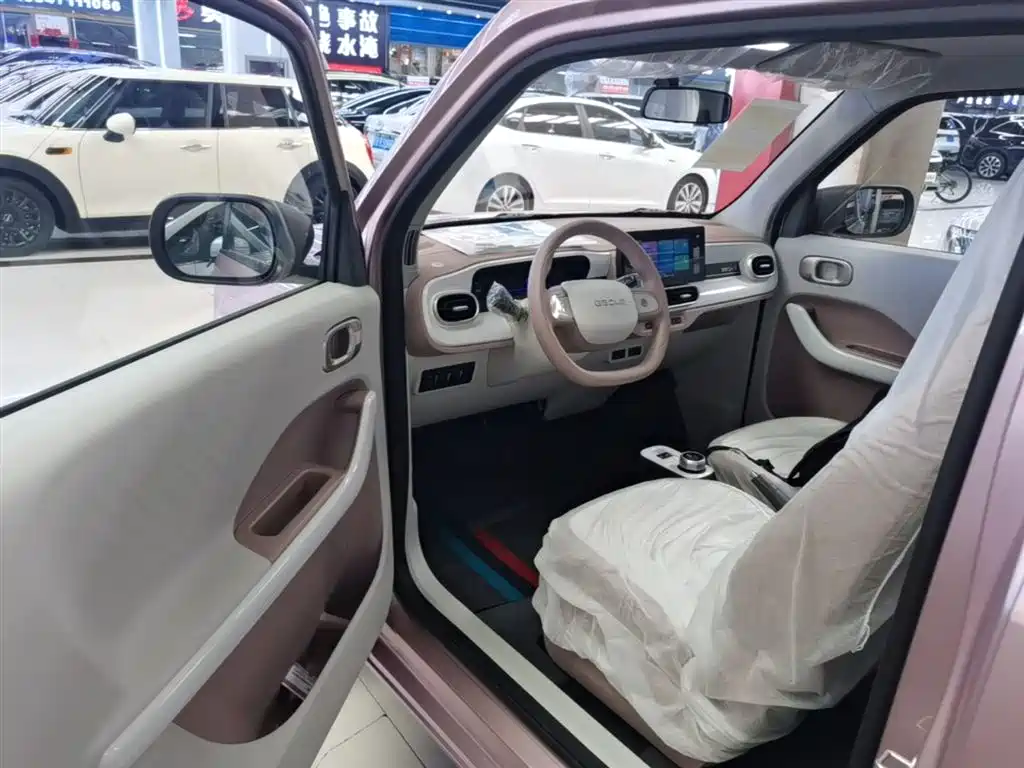 Geely Galaxy Panda 2025 Panda mini 210km Vitality Bear фото 16