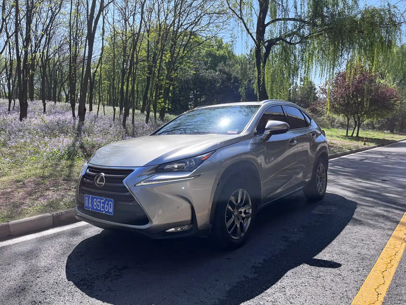 Lexus NX 2015 200t AWD F Sport