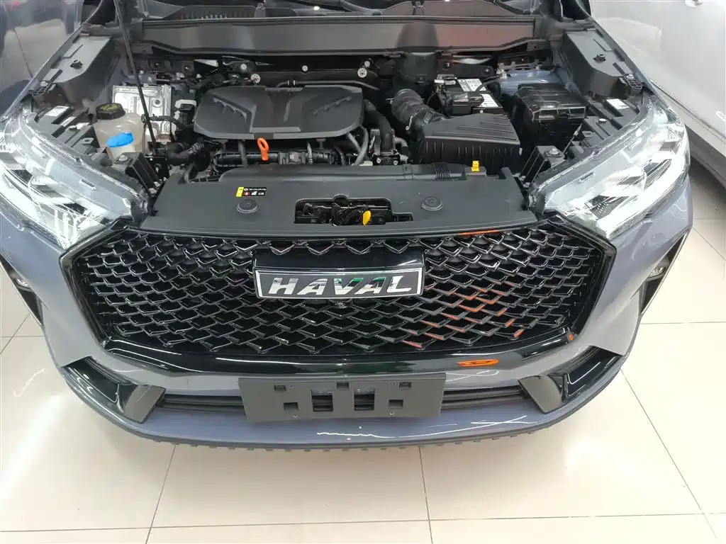 Haval H6 2021 3rd Generation 2.0T Auto 2WD Max фото 20