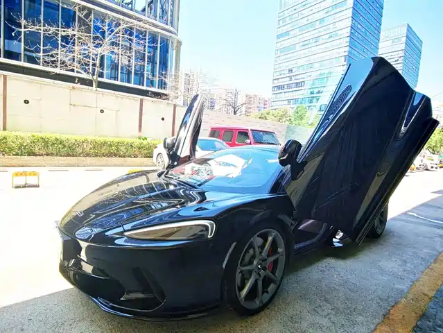 McLaren GT 2019 4.0T Standard