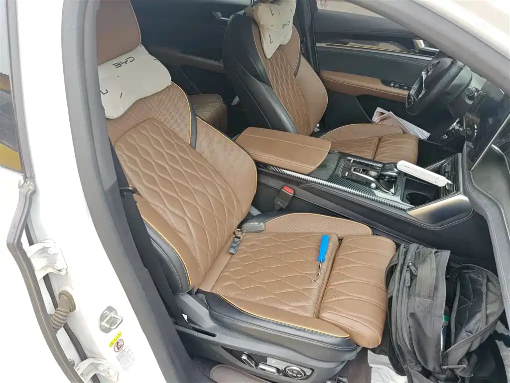 BYD Tang New Energy 2021 DM-i 112KM Honor фото 20