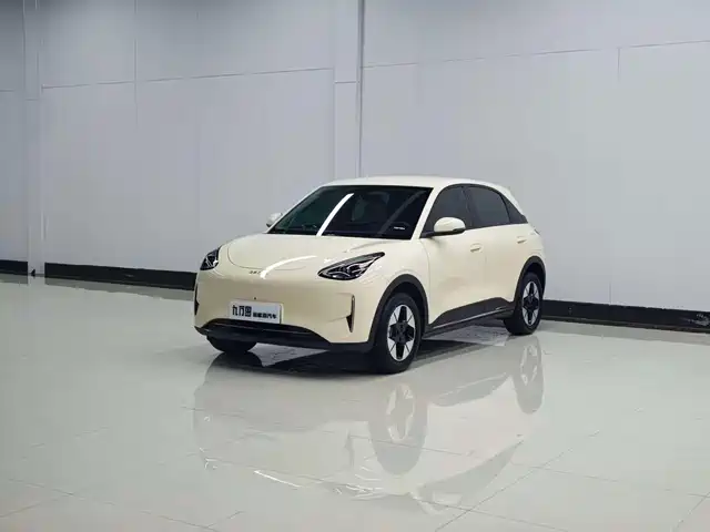 Geely Xingyuan 310km, Мечта