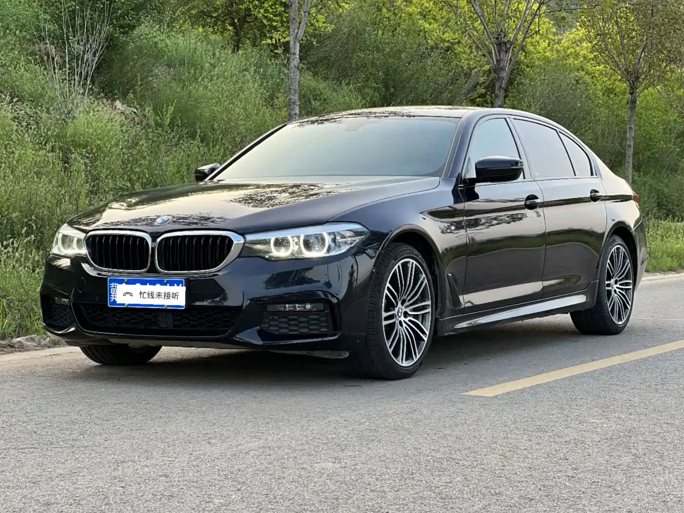 BMW 5 Series 2019 530Li Leading M Sport Package
