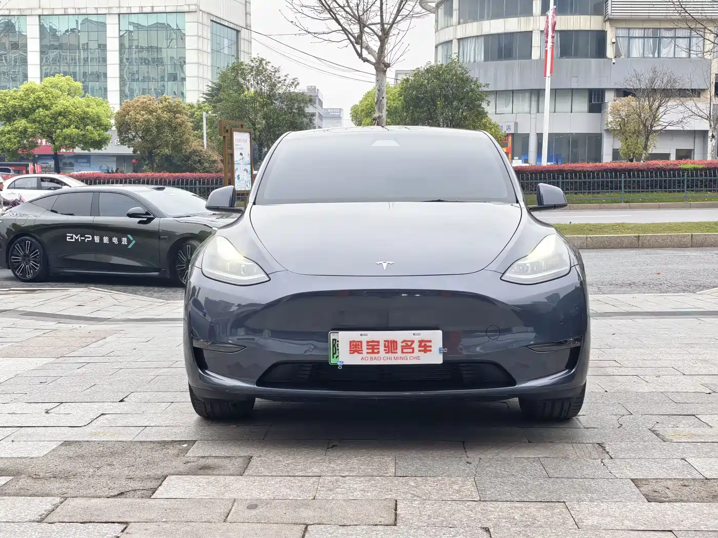 TESLA MODEL Y