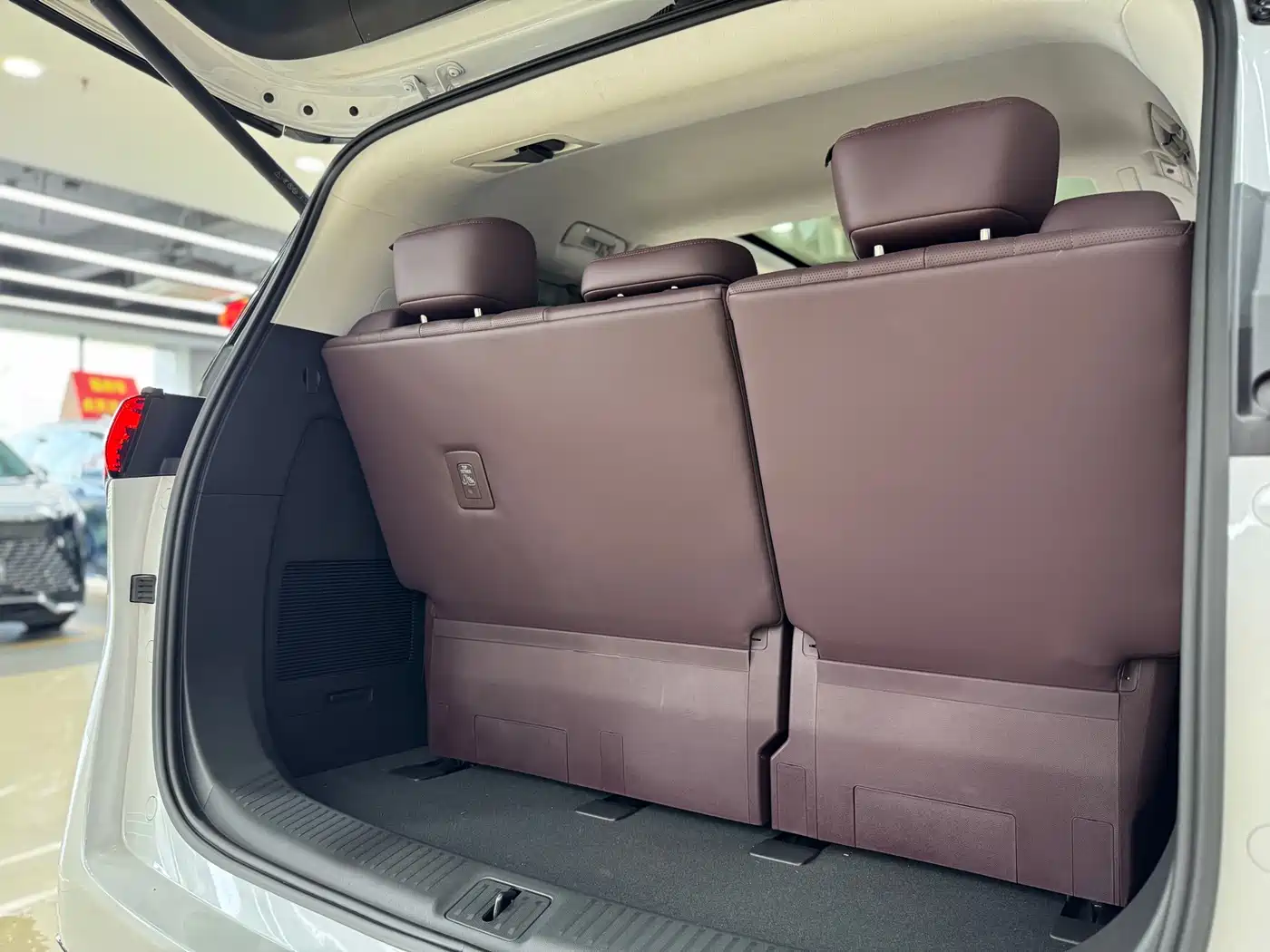 Buick Century 2025 2.0T 7-Seater World Edition фото 22