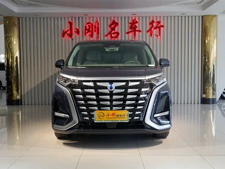 Denza D9 2022 DM-i 970 AWD Flagship фото 3