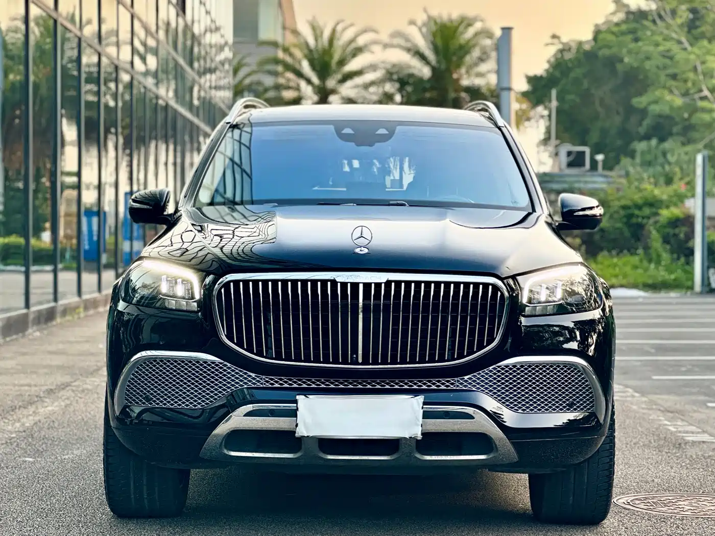 Mercedes-Benz Maybach GLS 2022 GLS 480 4MATIC фото 3