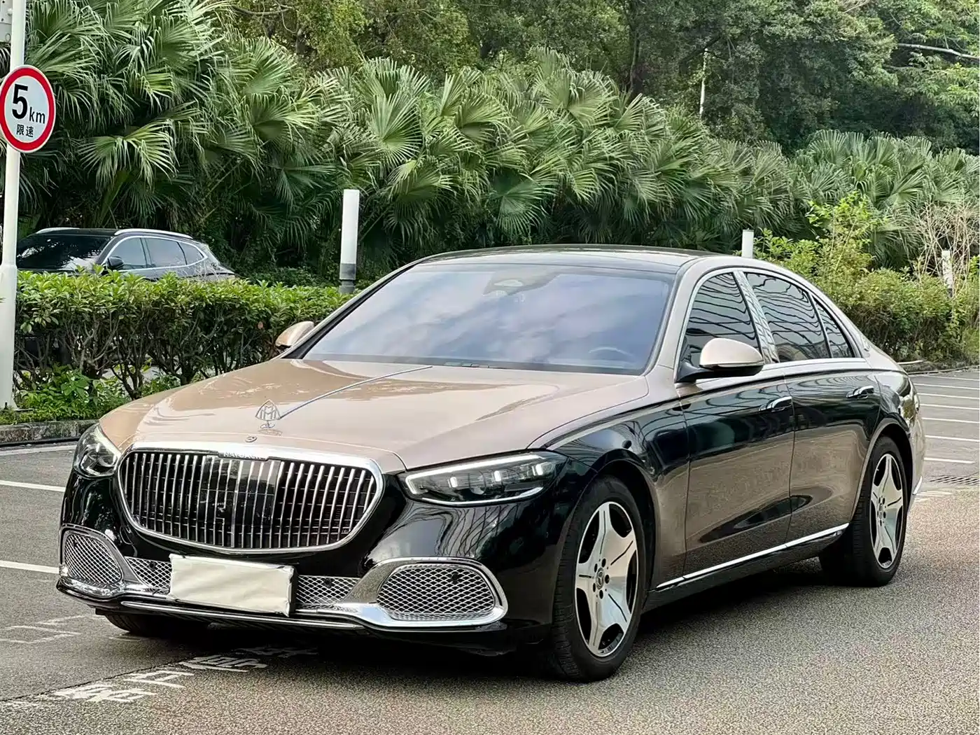 Mercedes-Benz S-Class 2023 Model S 400 L Business Edition