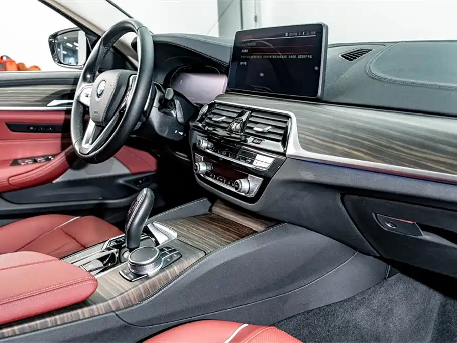 BMW 5 Series 2021 Facelift 530Li Leading Luxury Package фото 18