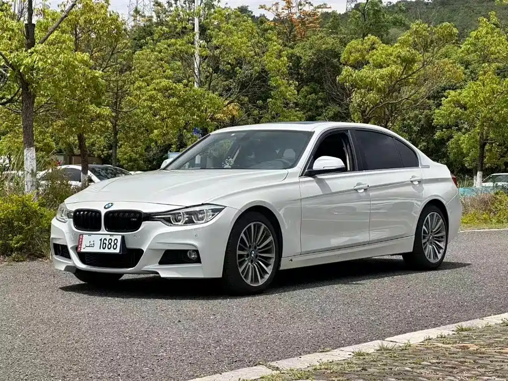 BMW 3 Series 2019 320Li M Sport Package фото 3