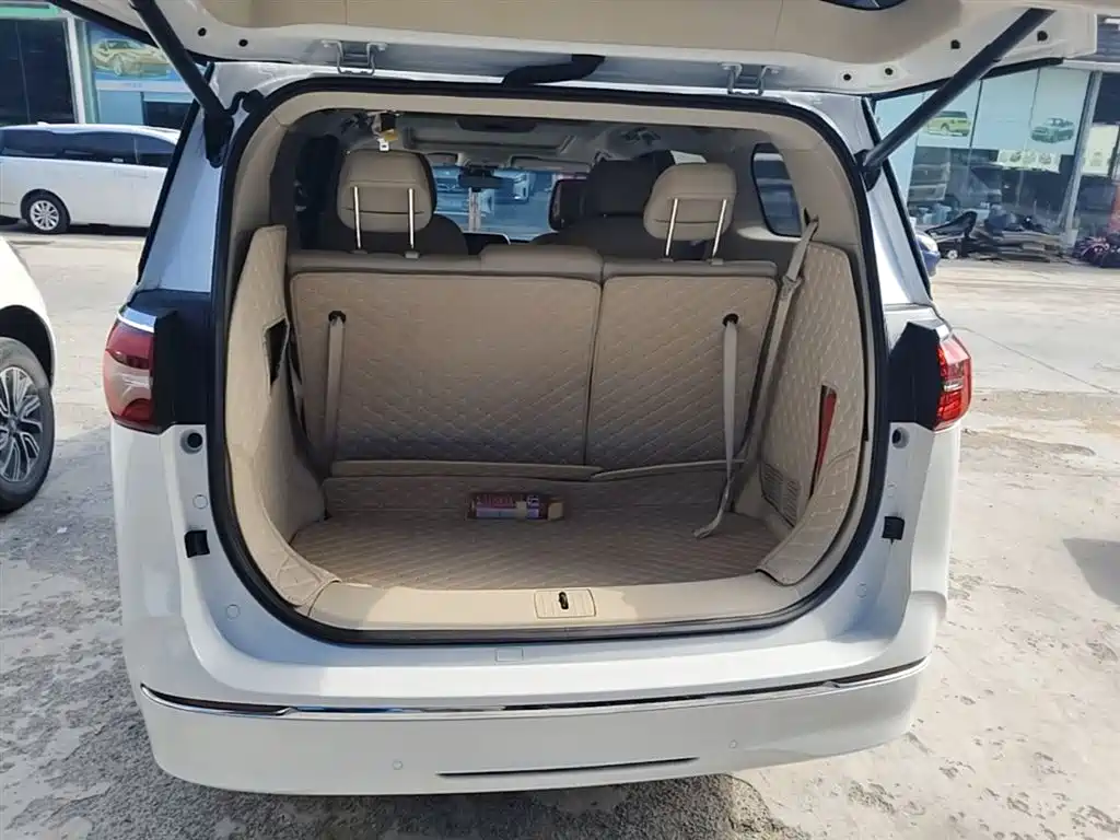 Buick GL8 2023 ES Landmaster Exclusive фото 19