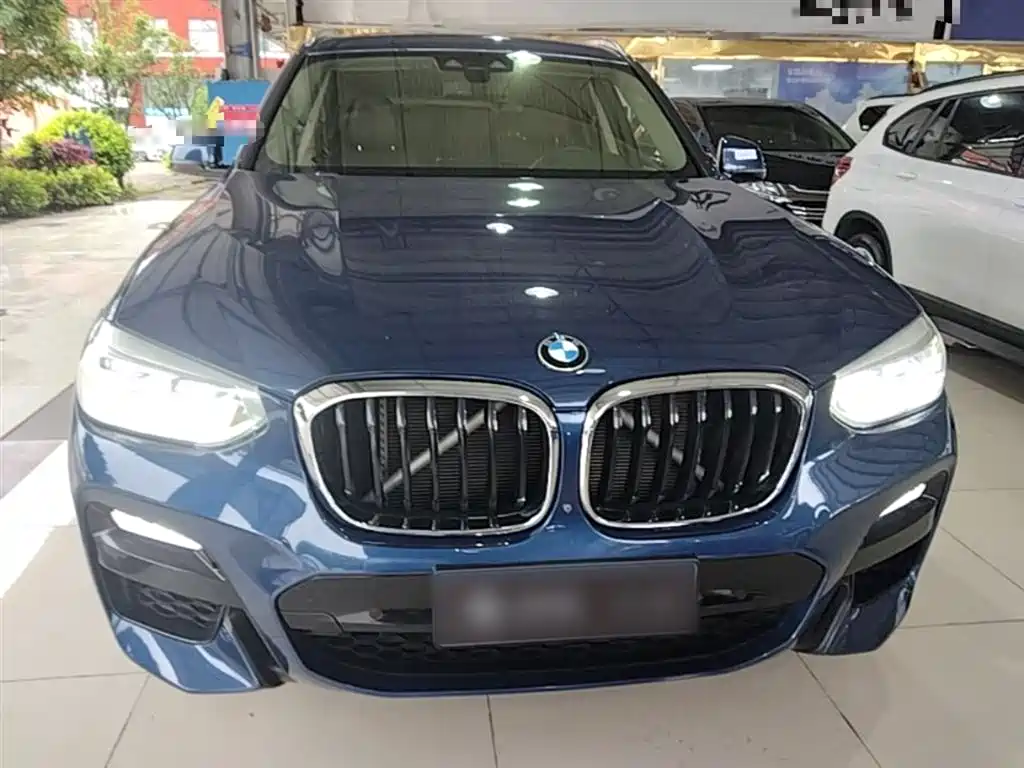 BMW X3 2018 xDrive30i Leading M Sport Package China V фото 3